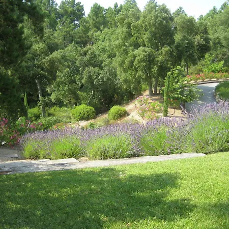 Villa Opulent In With Swimming Pool *